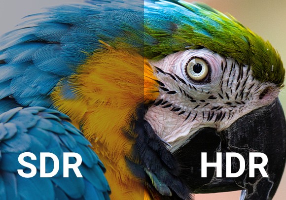 AIでSDRからHDRへのスムーズな変換方法を解説！